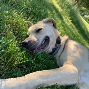 Meet your Posher, Judah